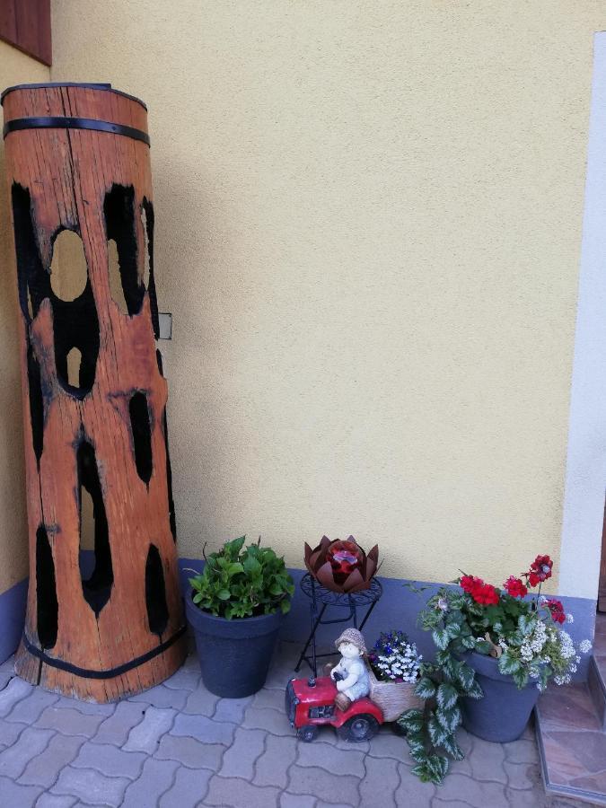 Ferienwohnung Duernberger Liebenfels المظهر الخارجي الصورة