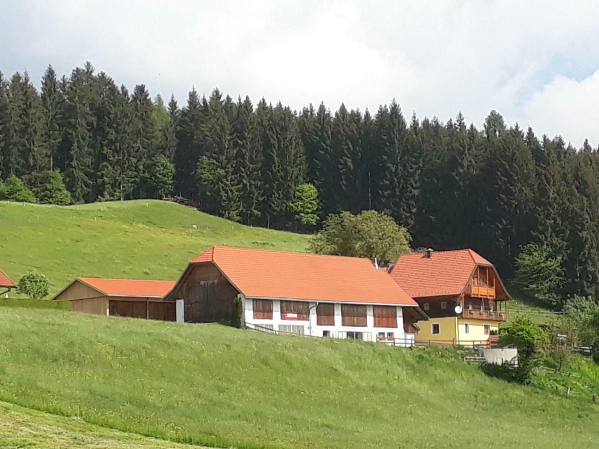Ferienwohnung Duernberger Liebenfels المظهر الخارجي الصورة